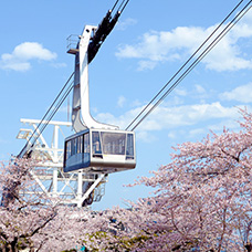 Photos of Mt. Hakodate