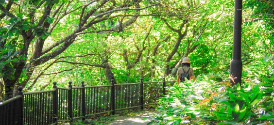 Harmony with the nature of Mt. Hakodate