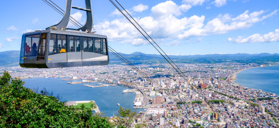 函館山の自然との調和